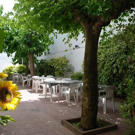 Hotel Armonia *